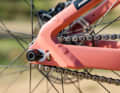 Mit horizontalen Ausfallenden und Halflink-Kette lässt sich der Singlespeed-Antrieb des Propain Trickshot auf Spannung bringen.