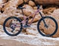 Die Aluvariante vom Tyee in schickem Wood Rose.