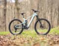 Das Propain Sresh mit Rockshox Ultimate Fahrwerk und Carbon-Rahmen schaut lecker aus. Wie gut es All-Mountain-Bikern wirklich schmeckt, haben wir im Test herausgefunden.
