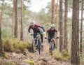 Wer nicht am Fuße der Alpen wohnt, kann auch die Anstiege im Mittelgebirge fürs Bergtraining nutzen.