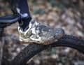 Keine Lust auf nasse Füße? Im Winter bietet Rollentraining Mountainbikern eine willkommene Fitness-Alternative.