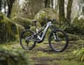 Mit 160/150 mm Federweg soll das Whyte Kado voll in die Kerbe sportlicher Trail- und Enduro-E-MTBs schlagen.