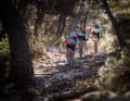 Das Specialized Factory Racing Team erprobte den Roval Control SL TEam Laufradsatz in verschiedenen Konfigurationen drei Jahre lang während des Crosscountry-Worldcups.