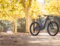Scott Voltage eRide 900 Tuned // TQ HPR 50 // 360 Wh // 160/155 mm // 29 Zoll // 10 999 Euro // 18,6 Kilo