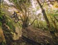 Runterrollen können alle, doch um auf den Felsen zu kommen, musst das Dune rumbalancieren wie ein Trial-Bike. Das klappte – sehr gut!