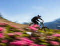Die Enduro-Racer (EDR) müssen sich mit 7 Worldcup-Stopps zufrieden geben, immerhin ein Stopp mehr als noch 2024. Die DH-, und XCO/XCC-Racer dürfen sich auf ganze 10 Stopps freuen.