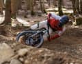 Specialized Status