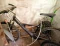 Einst technischer Meilenstein, jetzt verstaubte Kellerleiche: Bikes, wie dieses 1995er Staiger Black Arrow, stehen in vielen Kellern.