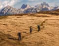 Die Rodenecker-Lüsner-Alm steht der deutlich berühmteren Seiseralm eigentlich in nichts nach. | Fotograf: Max Dickerhoff