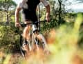 Mit erhöhter Rahmensteifigkeit soll das Megamo Track auch den härtesten Antritten von Cross Country- und Marathon-Bikern gewachsen sein.