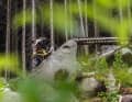 Beste Trailparks, die günstigsten Benzinpreise und ein schlaues digitales Mautsystem: Tschechien ist immer einen Biketrip wert.