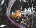 Die EVO PRO wurde laut TRP speziell für Downhill-, Enduro- und E-MTB-Fahrer entwickelt, die in Sachen Bremsleistung keine Kompromisse eingehen wollen. Ebenfalls neu und im Bild: die neue Race-Bremsscheibe.