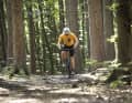 Plötzlich ist da ein Trail: Bei Tourenplanung durch unbekanntes Gelände läuft schon mal der Schotter aus. Breite Reifen und Federelemente sind dann auch an Gravelbikes sinnvoll.