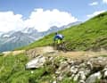 Der Bikepark Ponte di Legno-Tonale ist für Flow-Liebhaber mit Sinn für Panorama gedacht, der Worldcup-Park bei Malè eher für Abfahrtsspezialisten.