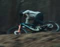 Rocky Mountain hat die neueste Version des Altitude auch entwickelt, um beim Enduro-Worldcup Siege einzufahren.