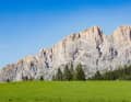 Die sattgrüne Almwiese zwischen Rosengarten und Latemar sieht eben aus. Tatsächlich aber bekommt man es zwischen den beiden Dolomiten-Massiven mit einigen Rampen zu tun.