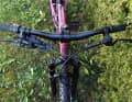 Schickes Cockpit vor grüner Hecke.