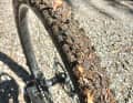 Auch wenn Continental zu früheren Race- und Trailreifen nachgebessert hat, dürfte die Selbstreinigung des Magnotal auf Trails mit tiefem, feuchten Waldboden gerne schneller funktionieren.