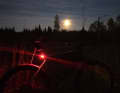 Canyon Grizl mit Eclips-System unterm Super-Mond: Selbst in hellen Nächten ist eine leistungsstarke Lichtanlage am Penler-Fahrrad unverzichtbar.