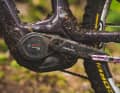 Das Herzstück des ELyte Evo RS ist der Bosch Performance CX Motor der fünften Generation. Die Eckdaten: 85 Newtonmeter maximales Drehmoment und 600 Watt Spitzenleistung.
