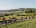 Ausdauer-Herausforderungen sind für viele Mountainbiker reizvoll. Das Zeug zum Saisonhighlight hat zum Beispiel die Langstrecke des BIKE-Marathons in Willingen.