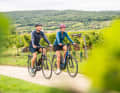 Die Weingärten Niederösterreichs lassen sich gut mit E-Bikes erkunden.