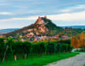 Burgruine Staatz