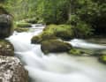 Ein rauschender Fluss am Wegesrand
