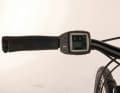 Das Bosch-Purion-Display am Kreidler Vitality zeigt weniger Fahrinfos als das Intuvia-Display der Marke.