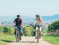 Auf dem Weinradweg bei Freiburg