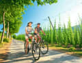 Die Hopfenplantage bei ­Holsthum im Prümtal ist die einzige in der Eifel überhaupt. | Rheinland Pfalz Tourismus / Dominik Ketz