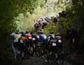Das Fahrerfeld in Aktion während des Männer-Rennens beim Koppenbergcross, dem ersten Rennen (von insgesamt acht) der X2O Badkamers Trophy Cyclocross, in Melden, Oudenaarde, am Mittwoch, den 01. November 2023.