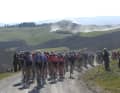 Das Feld auf einer der vielen Schotterpassagen in toskanischer Hügellandschaft bei den Strade Bianche der Männer, 4. März 2023.