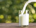 Milch und Milchprodukte liefern neben Eiweiß auch wertvolle Mikronährstoffe wie Kalzium und Jod.