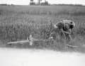 Heroische Epoche: Materialwagen? Ersatzlaufrad? Fehlanzeige. 1924 muss sich  Ottavio Bottecchia bei einer  Panne selbst helfen