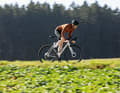 Günstig vs. teuer: Das Specialized Crux DSW und das S-Works Crux im Vergleich