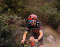 Julian Alaphilippe