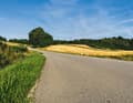 Rennrad-Kaufberatung: Welcher Typ passt zu mir?