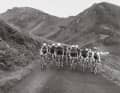 Gespannte Ruhe: Kurz vor dem ­Finale belauern sich die Stars bei der Tour 1975