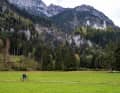 Touristenmagnet: Schloss Neuschwanstein