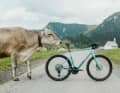Simplon GRID :eLight