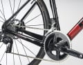 Das Koga Roqa Premium im Detail