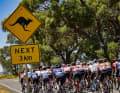 Tour Down Under (Frauen: 12.01. - 14.01., Männer: 16.01. - 21.01.)