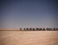 8.-11. Februar: UAE Tour Women