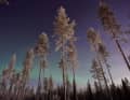 Die Nordlichter in Lappland, Finnland entdecken