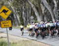 Alle Rennen der UCI Women's World Tour 2025: 17.-19. Januar: Santos Tour Down Under