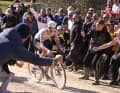 8. März: Strade Bianche