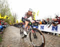 Favoriten für Paris-Roubaix 2024: Tim Wellens