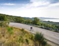 Um den See gekurvt: Der Lago Trasimeno liegt eingebettet in waldreiche Hügel, Olivenhaine und Weinberge.