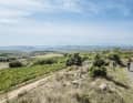 Wein ... Unterwegs in den Weinterrassen auf dem Weg nach Peñacerrada.